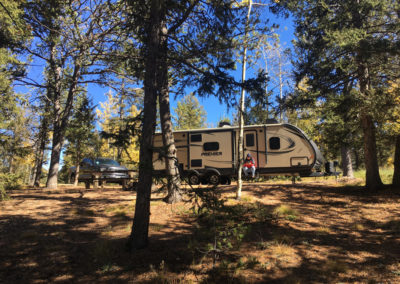Camping in the forest with a rented travel trailer